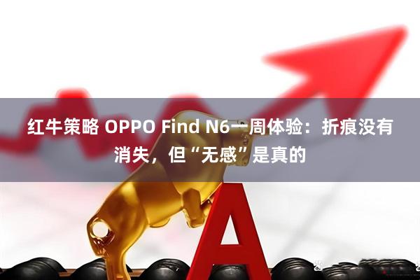 红牛策略 OPPO Find N6一周体验:折痕没有消失,但“无感”是真的